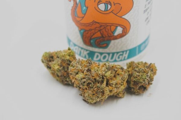 Everything You Need To Know About Hhc In 2023: A Complete Overview 2 Blog3