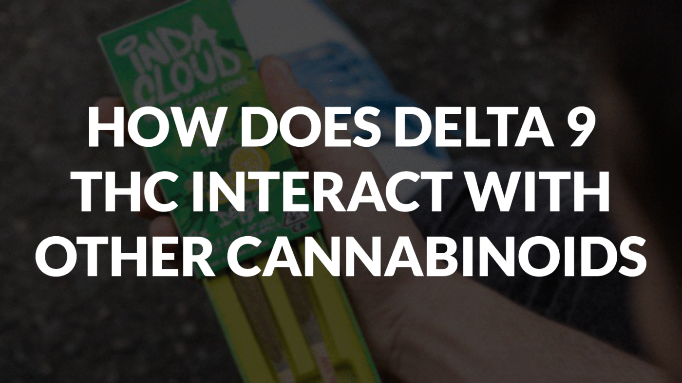 How Does Delta 9 Thc Interact With Other Cannabinoids? 7 How Does Delta 9 Thc Interact With Other Cannabinoids?
