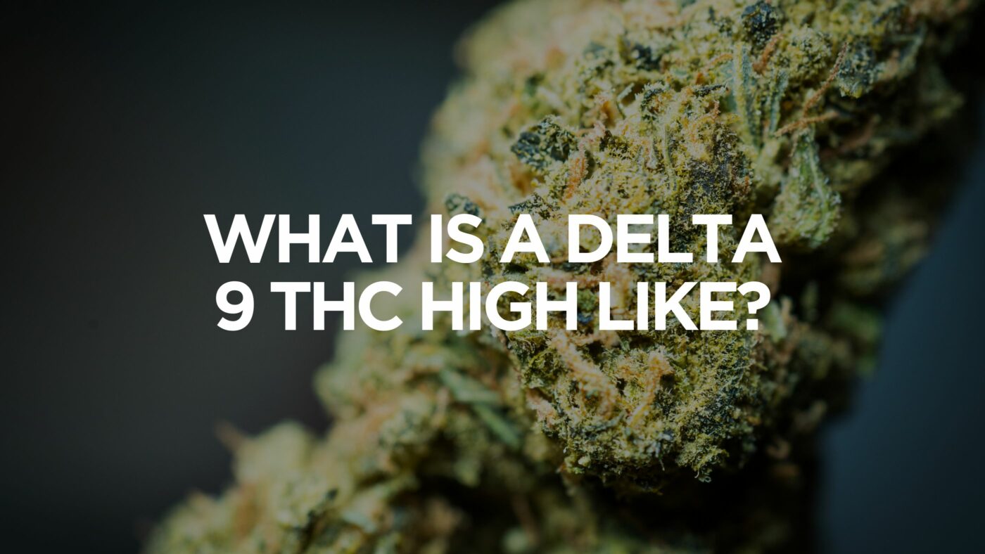 What Is A Delta 9 Thc High Like? 6 What Is A Delta 9 Thc High Like?