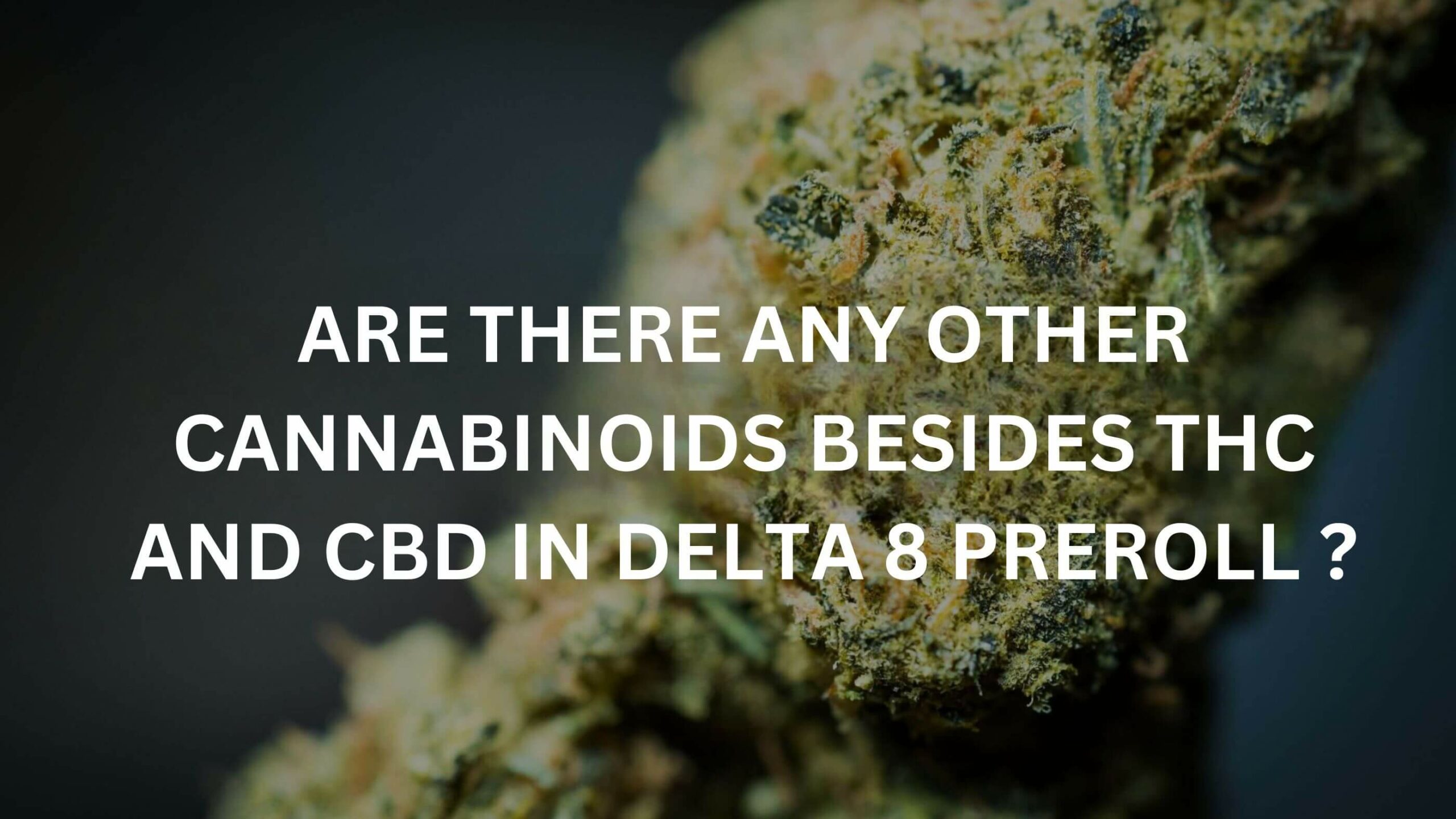 Are There Any Other Cannabinoids In A Hemp-Derived Or Marijuana-Derived Delta 8 Preroll Besides Thc And Cbd? 11 Cannabinoids