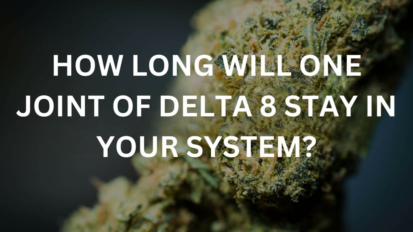 How Long Will One Joint Of Delta 8 Stay In Your System? 7 Delta 8 In System