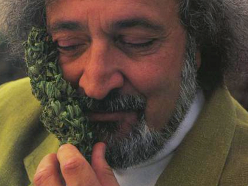 Pioneers Of Progress: Recognizing Cannabis Advocates &Amp; Activists 1 Jack-Herer