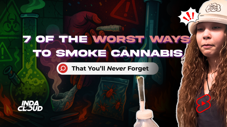 Homepage Indacloud August 2024 51 Worst Ways To Smoke Weed